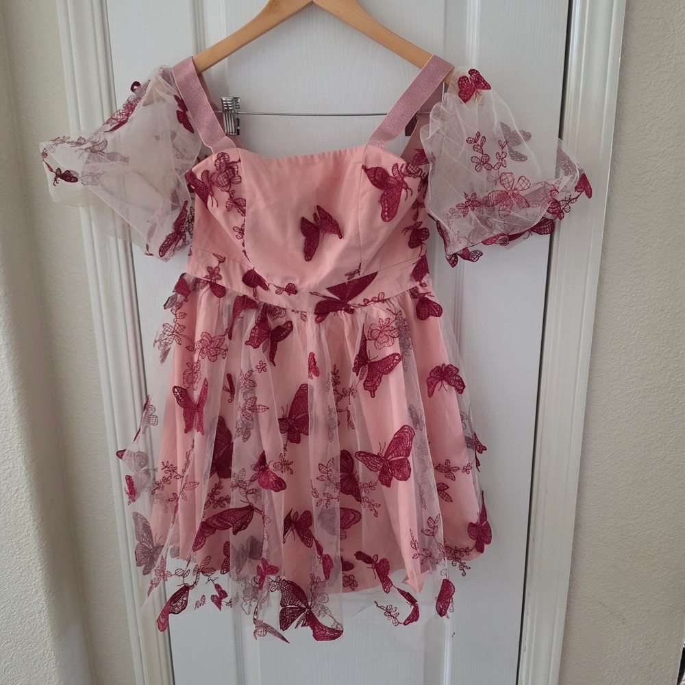 Double Crazy Pink Butterfly Mesh Mini Dress MC9499-LF Medium Burgundy Embroidery